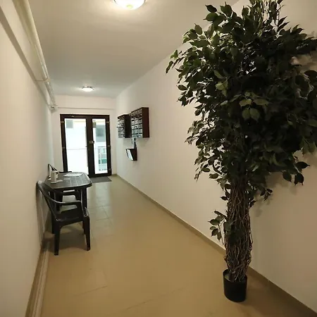 Apartamento Adrian Apostol *